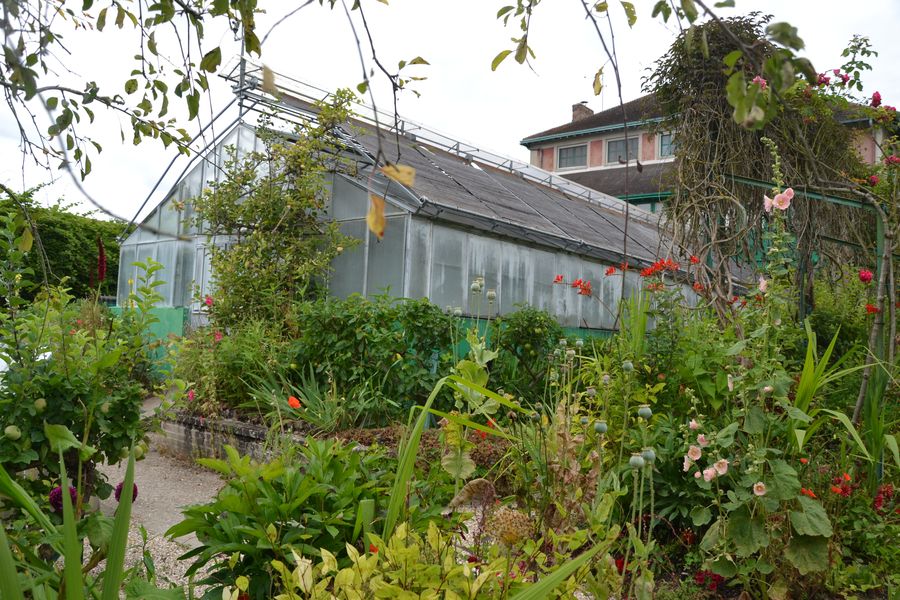 Exploring Claude Monet’s greenhouse